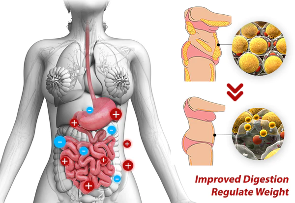 IONShaper Graphene Honeycomb Vaginal Firming and Shaping Briefs