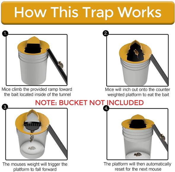 Bucket Mouse Trap With Lid