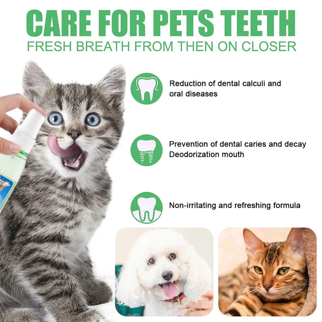 PetFreshŽ Teeth Cleaning Spray for Dogs & Cats, Eliminate Bad Breath, Targets Tartar & Plaque, Without Brushing