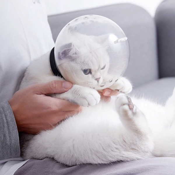 Air Muzzle For Cat Grooming