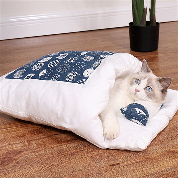 Cat Bed With Pillow