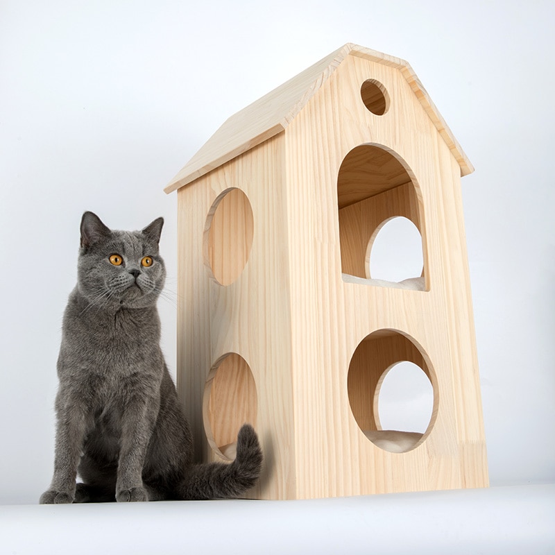 Cat House with Treadmill Tower