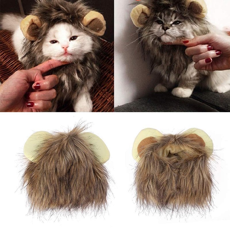 Cat Lion Mane For Sale