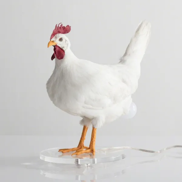 This Taxidermy Chicken Egg Lamp Exists