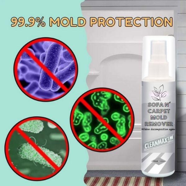 CleanMax Sofa N' Carpet Mold Remover