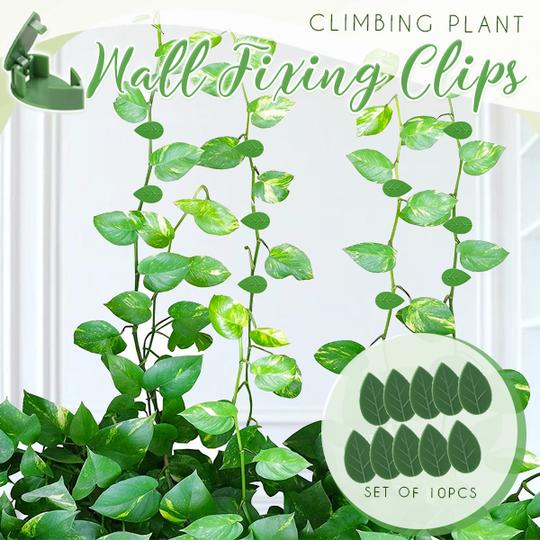 Climbing Plant Wall Fixing Clips