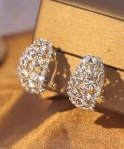 Diamonds Hoop Earrings