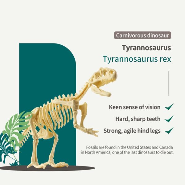 Arrival Dinosaur Fossil Digging Kit