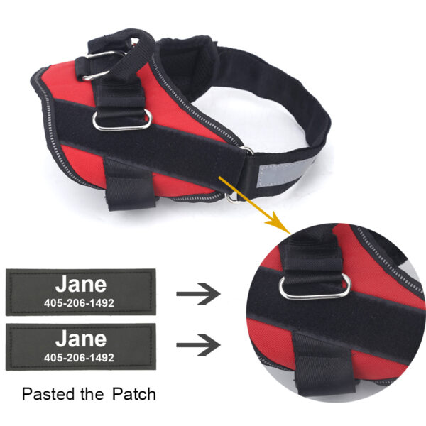 Personalized No Pull Dog Harness