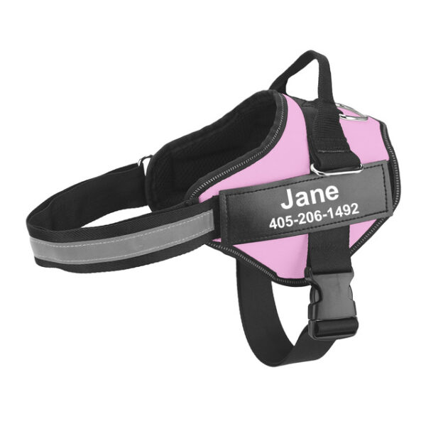 Personalized No Pull Dog Harness