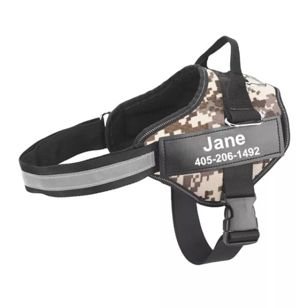 Personalized No Pull Dog Harness