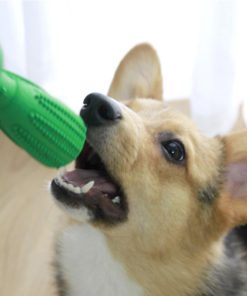 Dog Toothbrush Toy