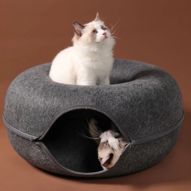 Hide-and-seek Cat Tunnel Bed