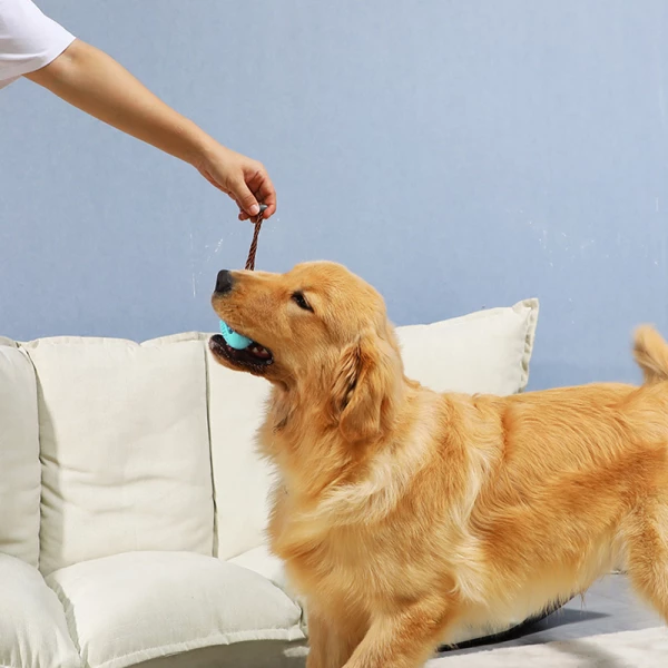 Double-Sided Rubber Blade Dog Teeth Brush