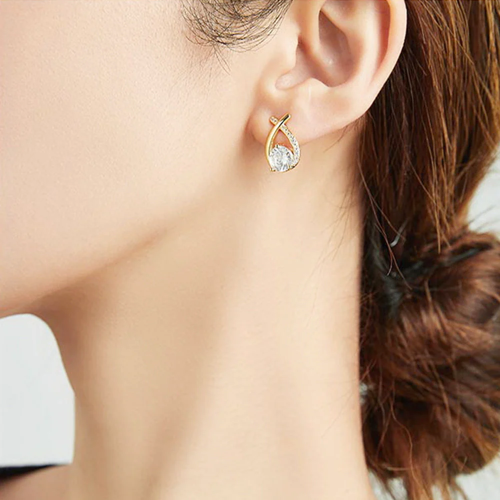 flysmus BAISO Lymphvity Germanium Earrings