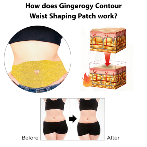 Gingerogy Contour Waist Shaping Patch