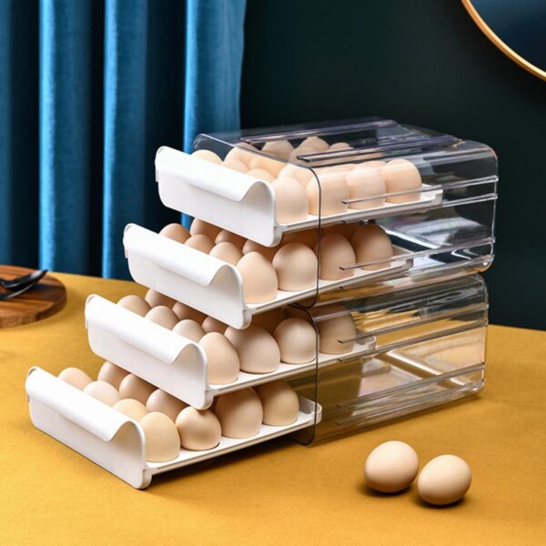 Egg Storage Box