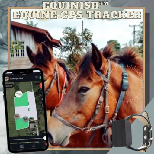 Equinish Equine GPS Tracker