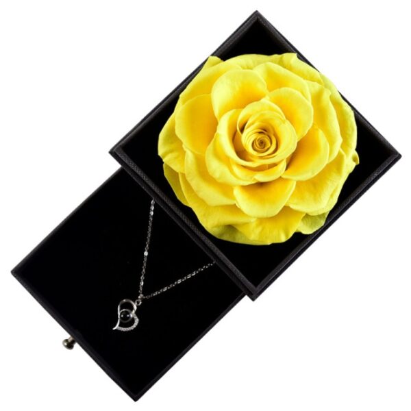 Rose Jewelry Box with Necklace