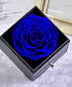 Rose Jewelry Box with Necklace