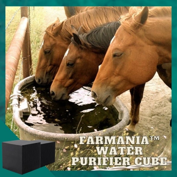 Farmania Water Purifier Cube