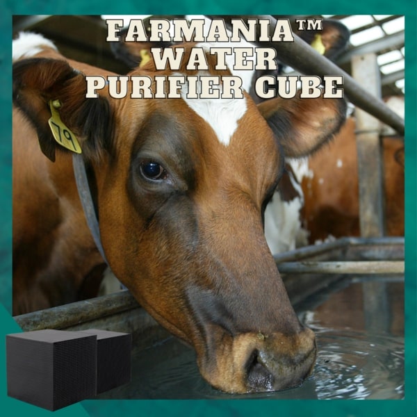 Farmania Water Purifier Cube