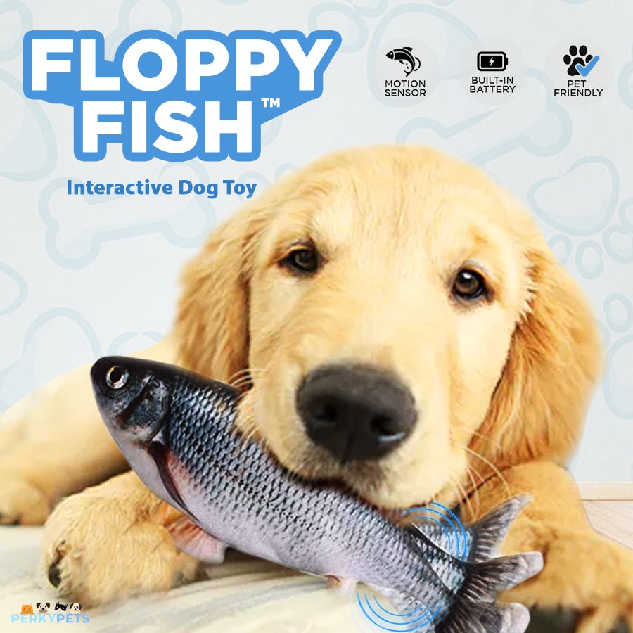 Floppy Fish Interactive Dog Toy