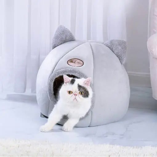 Foldable and Removable Cat Bed