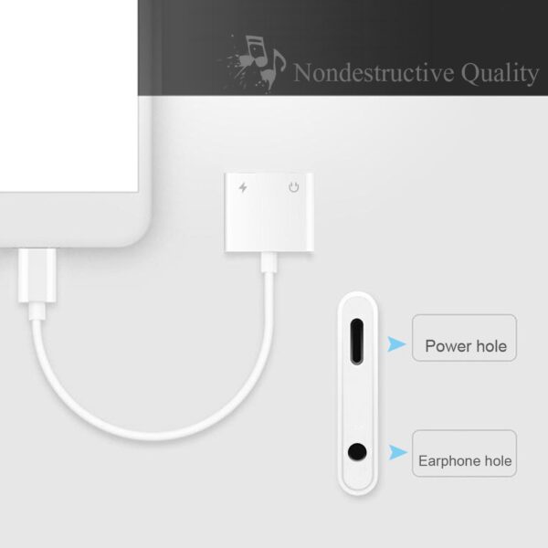 iOS Audio Charger Adapter