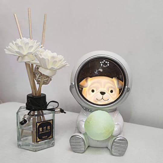 Galaxy Astronaut Pet Light