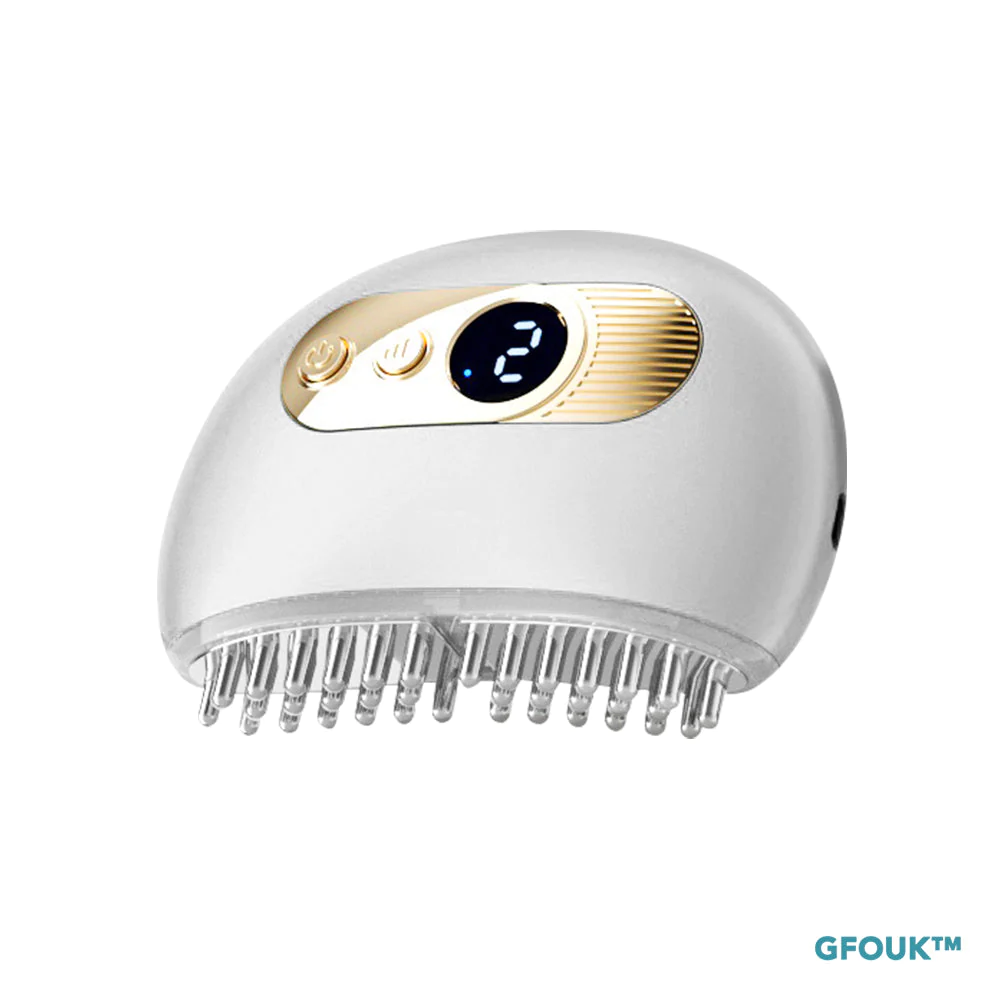 Nurbini EMS Hair Reborn Scalp Acupoint Massager