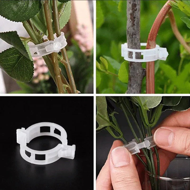 GFOUK Plant Support Clips