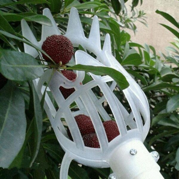 Garden Basket Fruit Picker