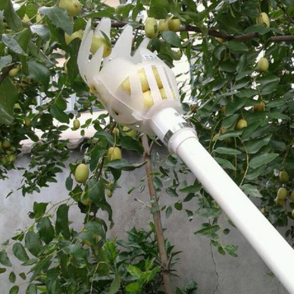 Garden Basket Fruit Picker