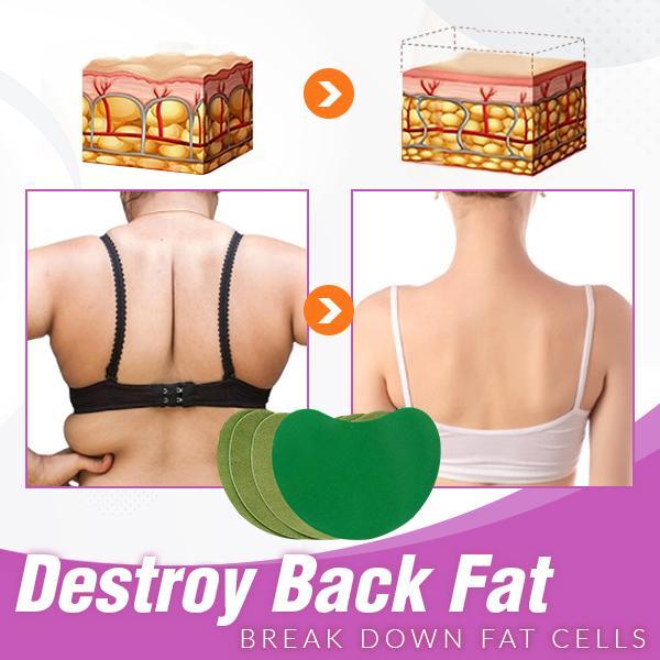 WonderDefined Back-Fat Burner Herbal Patch