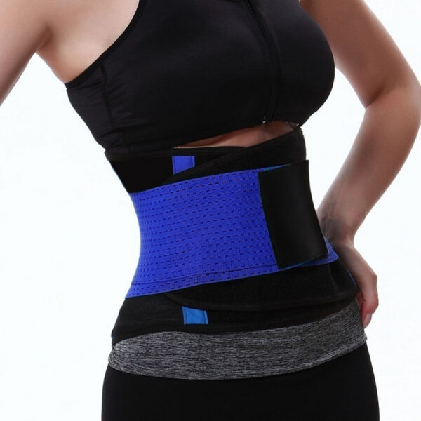 Slim Fit Waist Shaper