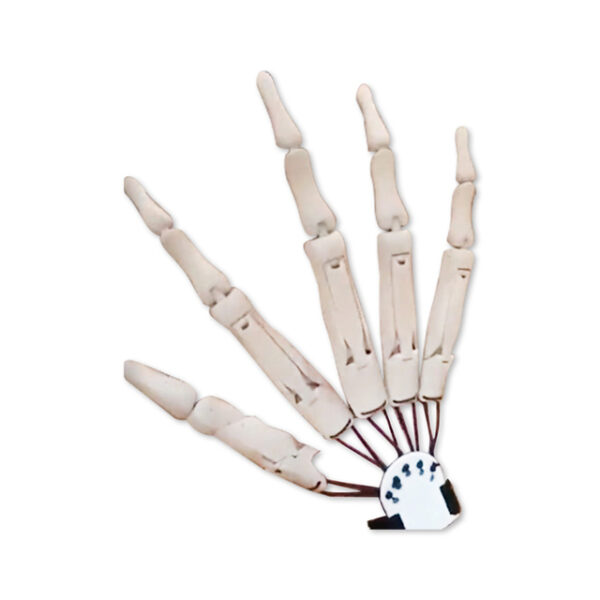 Articulated Fingers