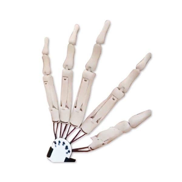 Articulated Fingers