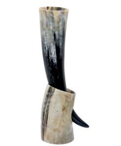 Real Vikings Drinking Horn