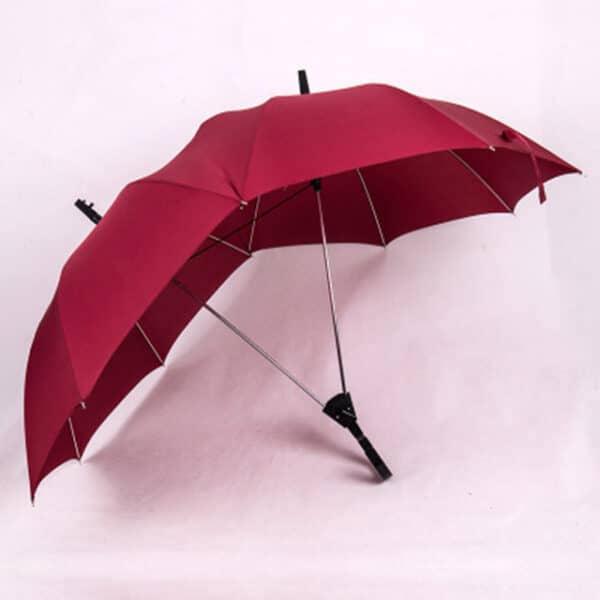 Automatic Lover Couples Two Person Umbrella