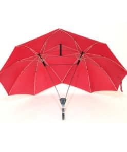 Automatic Lover Couples Two Person Umbrella