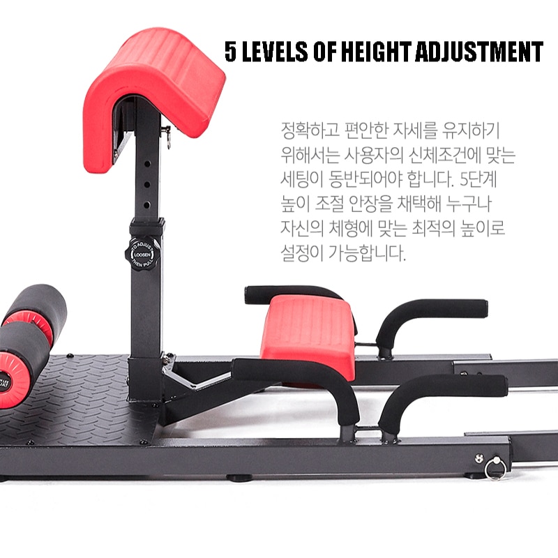 Hip Squat Auxiliary Trainer