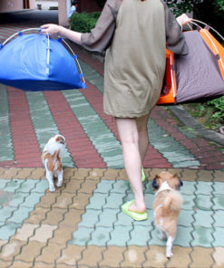 Pop Up Pet Tent