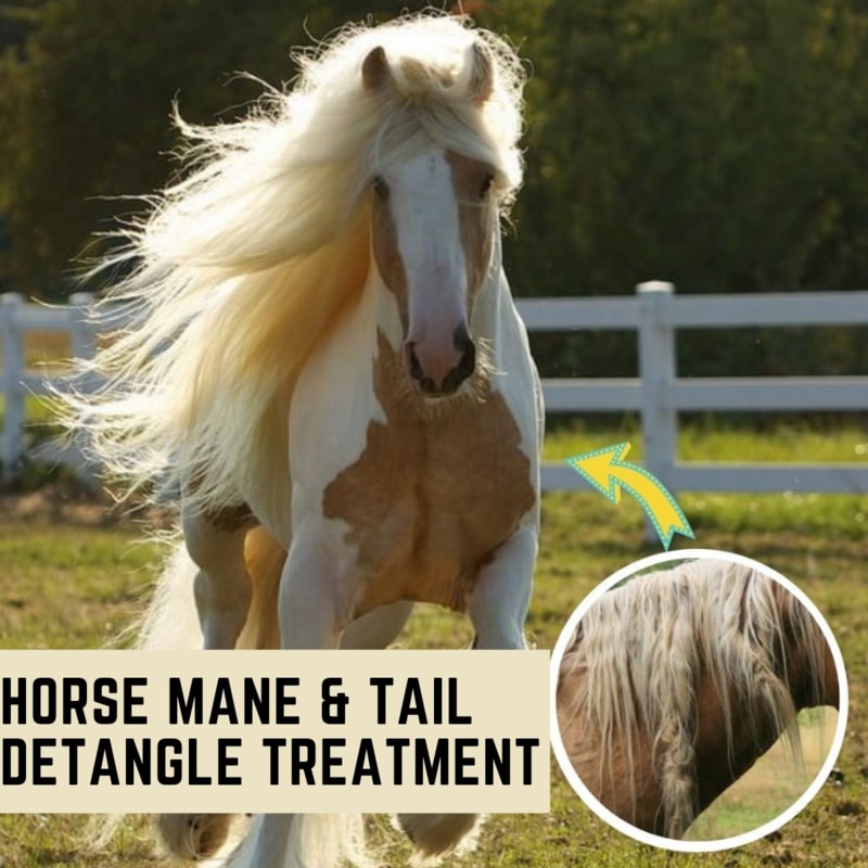 Horse Mane & Tail Detangle Treatment