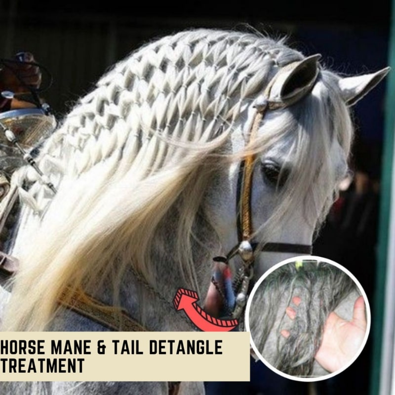 Horse Mane & Tail Detangle Treatment