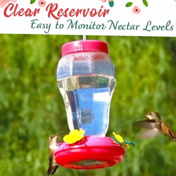 Hummingbird Feeder