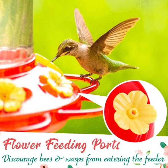 Hummingbird Feeder