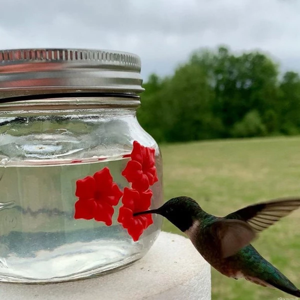 Hummingbird Feeder Plastic Flower Bird Feeder