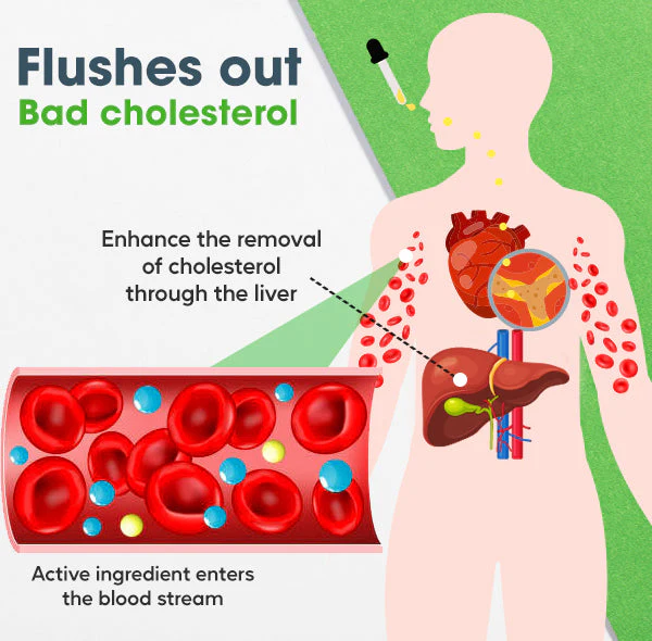 MediCare Cholesterol Control Drops