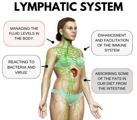 Oveallgo Lymphatic Drainage Health Patch